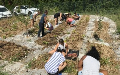 Le jardin solidaire Lou Pantaï mis en lumière dans le n° estival de Lien Social, magazine indépendant d’actualité sociale