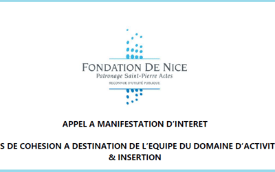 Appel à manifestation d&rsquo;intérêt – Domaine d&rsquo;activité Asile/Insertion